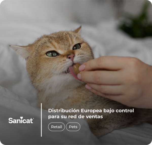 Sanicat's case study